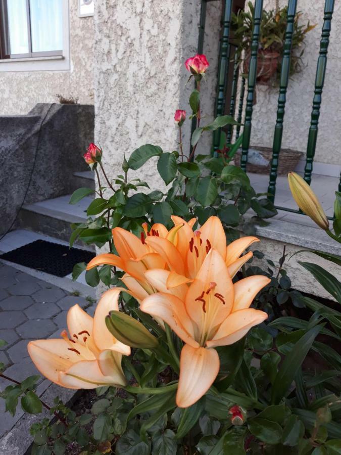 Cynda'S Home Viseu Bagian luar foto