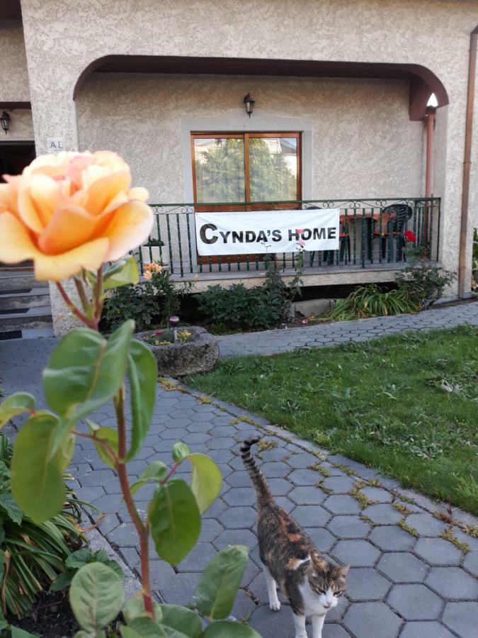 Cynda'S Home Viseu Bagian luar foto